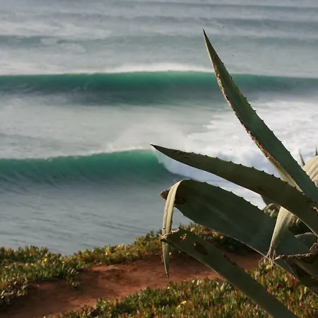 דירה Prime Oceanfront 2 אריסרייה